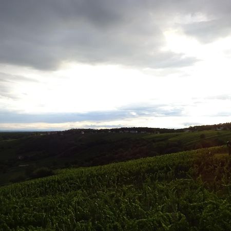 Eisenberg an der Pinka Kellerstoeckl Eisenberg/Pinka Weinerヴィラ エクステリア 写真