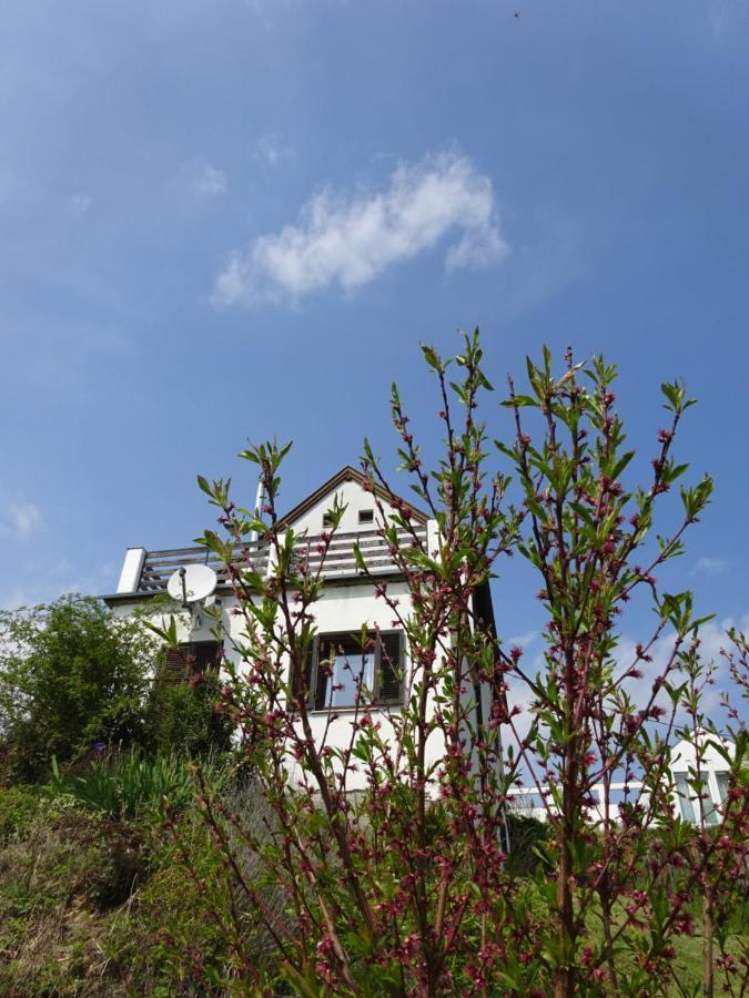 Eisenberg an der Pinka Kellerstoeckl Eisenberg/Pinka Weinerヴィラ エクステリア 写真